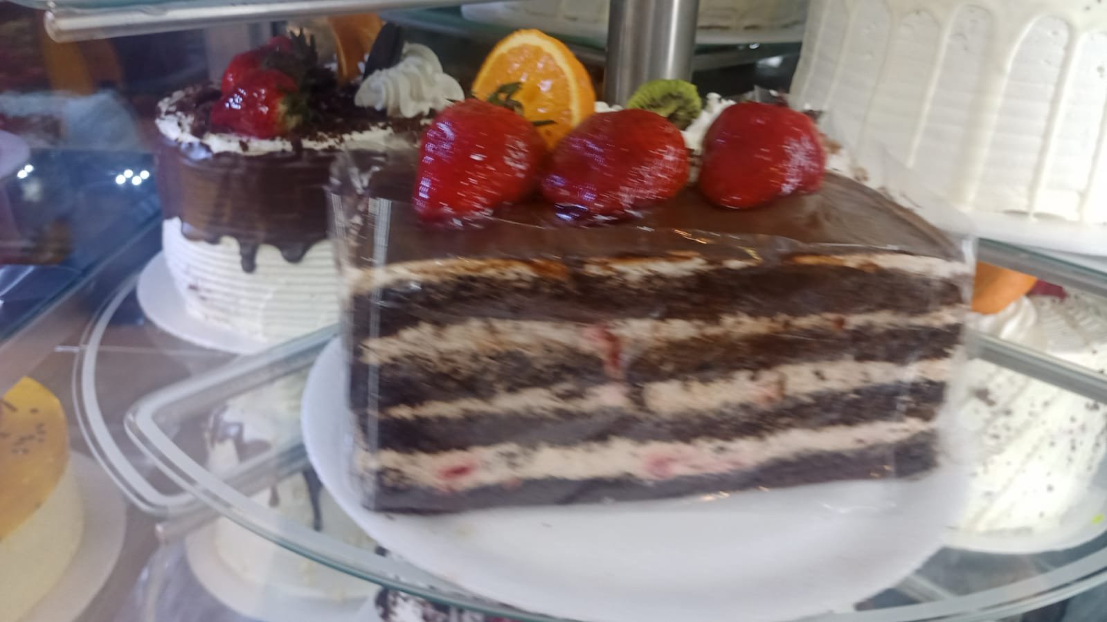 Imagen 6 de FINCA CAFETERA